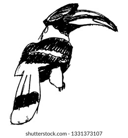 Isolated vector illustration. Hand drawn ink sketch of a great hornbill bird or calao. (Buceros bicornis). Black silhouette on white background.