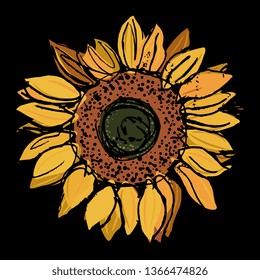 Isolated vector illustration. Hand drawn colored sketch of a sunflower head. On black background.