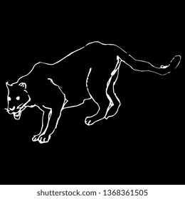 Isolated vector illustration. Hand drawn linear doodle sketch of a black panther. White silhouette on black background.