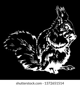 Isolated vector illustration. Hand drawn linear ink sketch of a squirrel. White silhouette on black background.