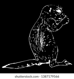 Isolated Vector Illustration. Hand Drawn Linear Ink Sketch Of A Wild Rodent. Ground Squirrel, Prairie Dog, Chipmunk, Suslik Or Gopher. White Silhouette On Black Background. Scratch Art Style.