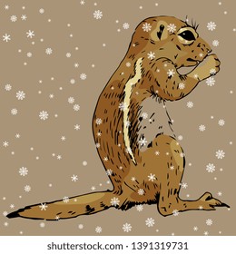 Isolated vector illustration. Hand drawn colored sketch of a wild rodent under snowflakes. Ground squirrel, Prairie dog, Chipmunk, Suslik or Gopher. 