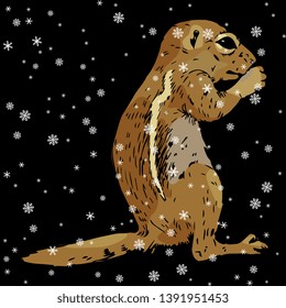 Isolated vector illustration. Hand drawn colored sketch of a wild rodent under snowflakes. Ground squirrel, Prairie dog, Chipmunk, Suslik or Gopher. 