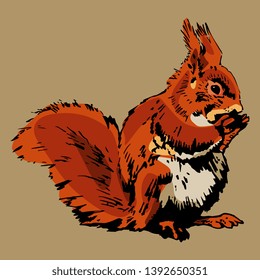 Isolated vector illustration. Hand drawn colored sketch of a red squirrel. On gray background.