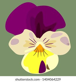 Isolated vector illustration. Hand drawn head of a pansy flower. Viola tricolor.  Flat cartoon style.