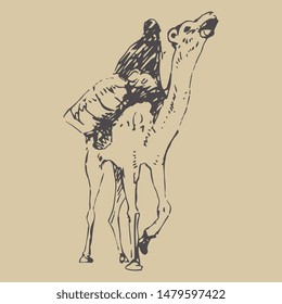 Isolated vector illustration. Hand drawn doodle sketch of a camel with rider. Monochrome silhouette.