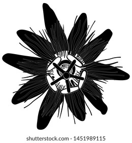 Isolated vector illustration. Head of a Blue Passion Flower or Passiflora. Black and white silhouette.