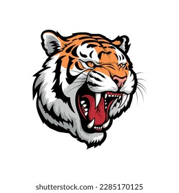 Isolated vector illustration of the head of a growling angry tiger