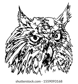Isolated vector illustration. Head of horned owl (Bubo). Hand drawn linear doodle ink sketch. Black silhouette on white background.