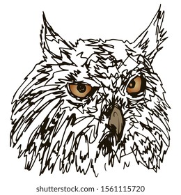Isolated vector illustration. Head of horned owl (Bubo). Hand drawn linear doodle sketch. Black and white silhouette with colored beak and eyes.