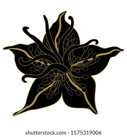 Isolated vector illustration. Head of Nigella Sativa flower. Black seed or black caraway plant. Black and gold silhouette on white.
