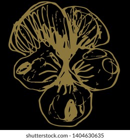 Isolated vector illustration. Head of a pansy flower. Hand drawn linear doodle ink sketch. Gold silhouette on black background.