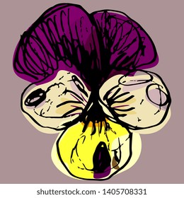 Isolated vector illustration. Head of a pansy flower (Viola tricolor). Hand drawn colored doodle ink sketch. On mauve background.