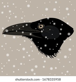 Isolated vector illustration. Head of a raven in profile under snowflakes. Corvus bird. Animal winter decor.