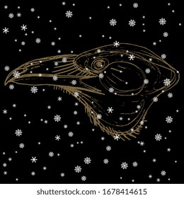 Isolated vector illustration. Head of a raven in profile under snowflakes. Corvus bird. Hand drawn linear doodle sketch. Monochrome silhouette.
