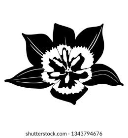 Isolated vector illustration. Head of a tulip flower. Black and white flat silhouette.