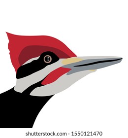 Isolated vector illustration. Head of a woodpecker bird in profile. Flat cartoon style.