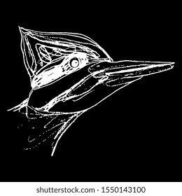 Isolated vector illustration. Head of a woodpecker bird in profile. Hand drawn linear doodle sketch. White silhouette on black background.