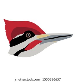 Isolated vector illustration. Head of a woodpecker bird in profile. Flat cartoon style.
