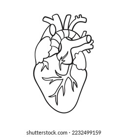 Isolated vector illustration of heart. Cute thin line icon for design, cover etc.	