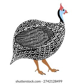 Isolated vector illustration of a helmeted guinea fowl with characteristic white spotted plumage. Bird character for poultry farm branding, organic food packaging or ornithology graphic design