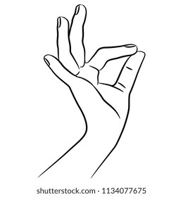 Isolated vector illustration. Human female hand in OK or pinch gesture. Hand drawn linear sketch. Black silhouette on white background.