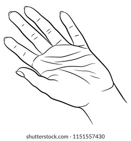 
Isolated vector illustration of a human female palm. Hand drawn linear sketch. Black silhouette on white background.