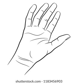 Isolated vector illustration. Human female open palm. Hand drawn linear sketch. Black silhouette on white background.