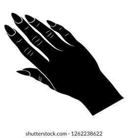 Isolated vector illustration. Human female hand with long nails. Black and white linear silhouette. Cartoon style.