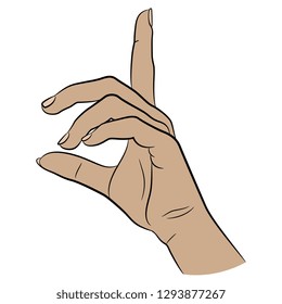 
Isolated vector illustration. Human female Caucasian  hand with pointing up index finger. Hand drawn linear sketch. Cartoon style.