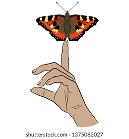 Isolated vector illustration. Human female hand holding a small tortoiseshell butterfly. (Aglais urticae). Hand drawn art. Cartoon style. 