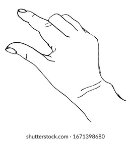 Ilustración vectorial aislada. Mano femenina humana en la medición del gesto. Dibujo lineal dibujado a mano. Silueta negra sobre fondo blanco.