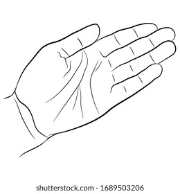 Isolated vector illustration. Human hand. Open female palm. Black and white linear silhouette.