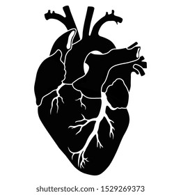 Isolated vector illustration. Human heart. Black and white silhouette.