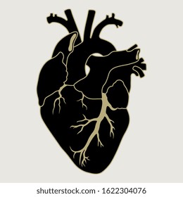 Isolated vector illustration. Human heart. Black and gold monochrome silhouette.