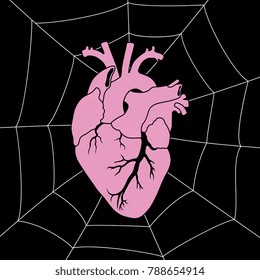 Isolated vector illustration. Human heart in a spider web.