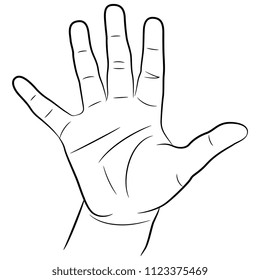 191,323 Hand Palm Drawing Images, Stock Photos & Vectors | Shutterstock