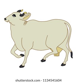 Isolated vector illustration of Indian cow. Based on traditional vintage art.