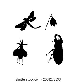 Isolated vector illustration of insects and flowers clipart on white background. Dragonfly, deer beetle, rhinoceros beetle clip art for logo, emblem, print, blank for designers