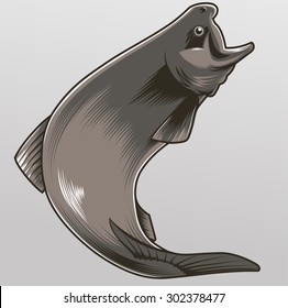 isolated vector illustration of a jumping trout