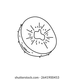 Isolated vector illustration of a kiwi on a white background. Organic healthy food. Hand drawn illustration in doodle style. Ideal for recipes, various designs. Vector art. Stroke art. Fruits