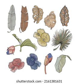 Ilustración vectorial aislada de un gran conjunto de hojas y flores tropicales. Flores y hojas exóticas como papel impreso, en blanco para los diseñadores, logotipo, etiqueta, pegatina
