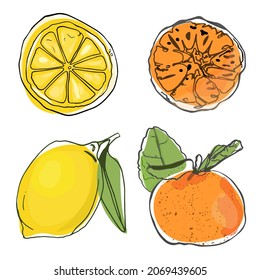 Isolated vector illustration of lemon, orange slices. Juicy citrus logo element, icon, blank for designer