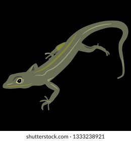 Isolated vector illustration of a lizard. Flat cartoon style. On black background.