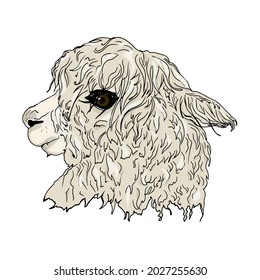 Isolated vector illustration of a llama on a white background. Alpaca head blank for designer, logo, icon, postcard