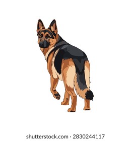 Isolated Vector Illustration of a Loyal German Shepherd Dog Looking Back on White Background