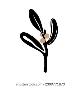 Isolated vector illustration of mistletoe branch on a white background. Evergreen branch logo for designer packaging, medicines, new year.