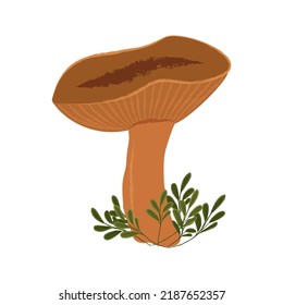 Ilustración vectorial aislada de hongos. 