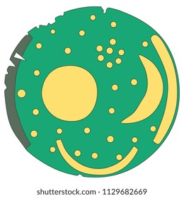 Isolated Vector Illustration Of The Nebra Sky Disk. Ancient Artefact From Germany.  Bronze Age Unetice Culture. Cartoon Style.