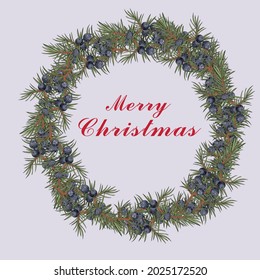 Isolated vector illustration on a very light shade of blue -magenta, Round floral frame made of juniper branches. Merry Christmas.